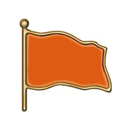 005 Flag badges