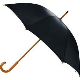 96010-50 Autum Umbrella